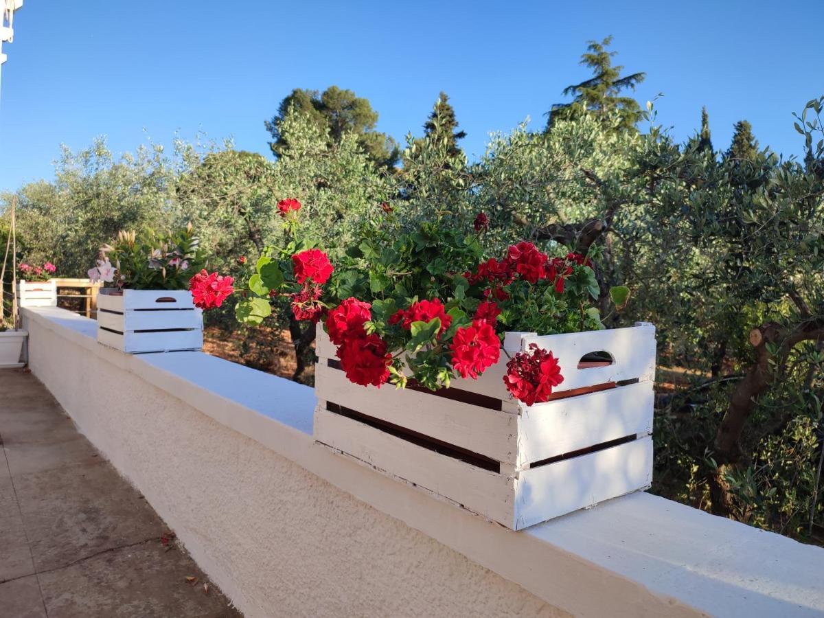 Holiday home Porta Sugli Ulivi *